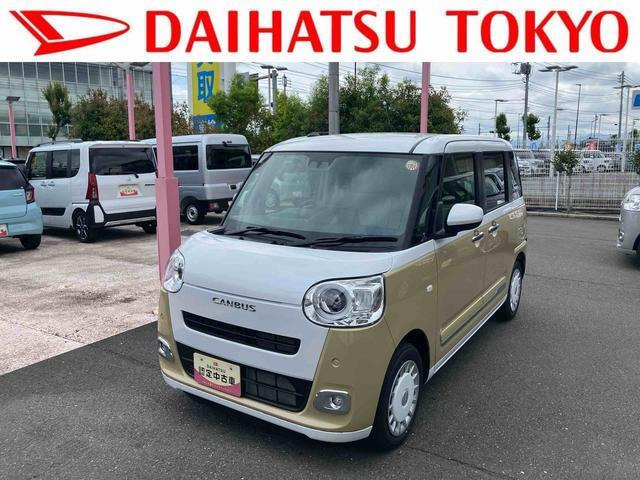 ムーヴキャンバス  ストライプス G