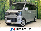 SDナビ バックカメラ 衝突軽減装置 両側電動ドア 電動サイドステップ
