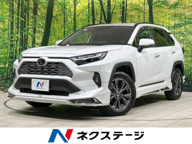 RAV4 2.5 ハイブリッド G E-Four 4WD （6AA-AXAH54）