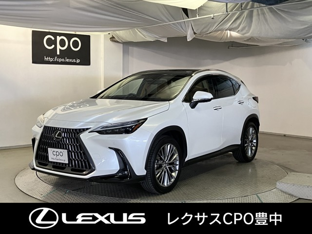 NX 250 バージョンL NX 250 バージョンL