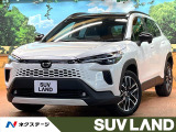 ガラスルーフ 10型ナビ バックカメラ レーダークルーズ