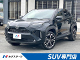 レーダークルーズ 禁煙車 電動リアゲート パワーシート ドラレコ