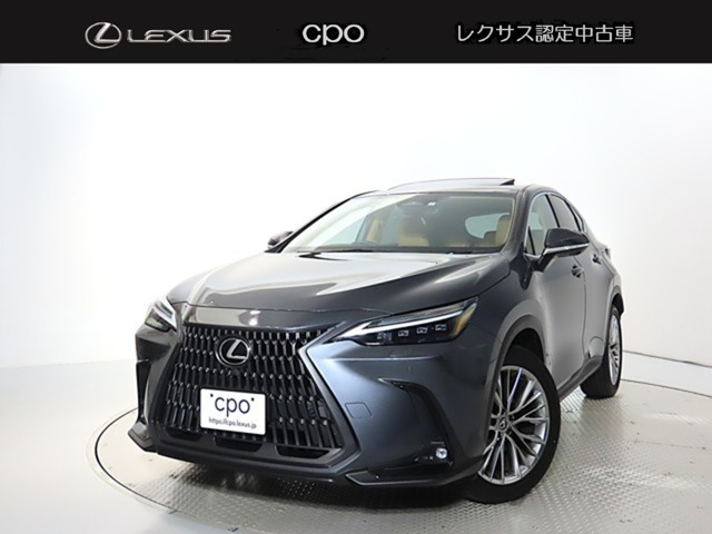 NX 250 バージョンL NX 250 バージョンL