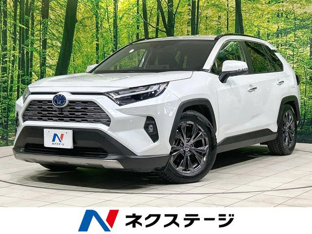 RAV4 2.5 ハイブリッド G E-Four 4WD （6AA-AXAH54）