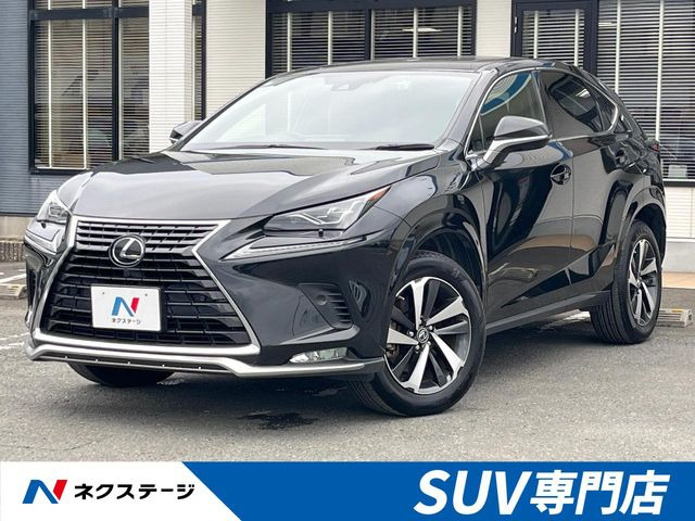 NX 300 スパイス&シック