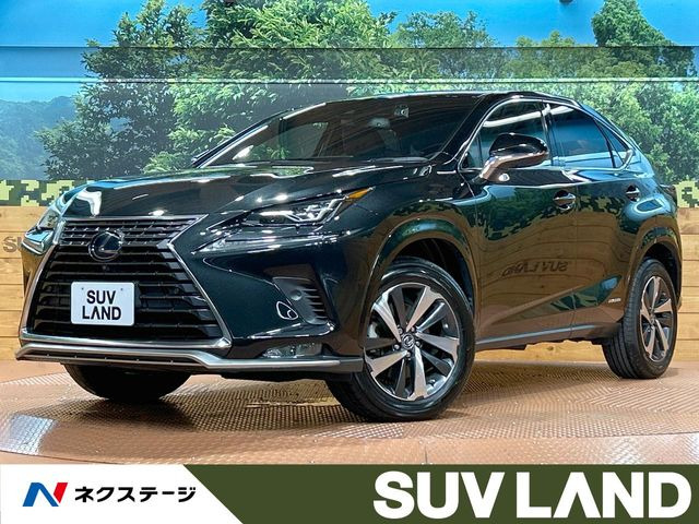 NX 300h スパイス&シック 