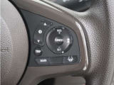 ◆アダプティブクルーズコントロール◆予め設定した車速内でクルマが自動的に加減速。前走車との適切な車間距離を維持しながら追従走行します。【LKAS】車線維持支援システムでステアリング操作を支援。