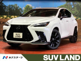 100V電源 衝突被害軽減システム レーダークルーズ 禁煙車 電動リア