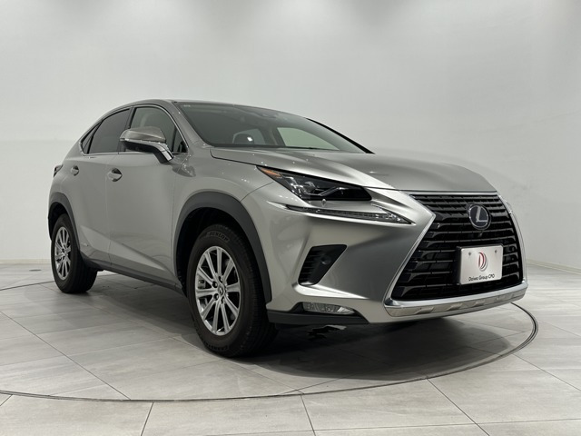 NX 300h Iパッケージ 