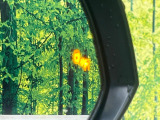 【ブラインドスポットモニター】走行中、ドアミラーの死角になりやすい箇所に後続車が接近するとサイドミラーのレンズに警告を表示!ドライバーに注意喚起をしてくれます。
