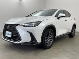 NX 250 修復歴無し