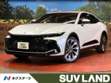 純正12型ディスプレイ 全周囲カメラ 衝突被害軽減システム