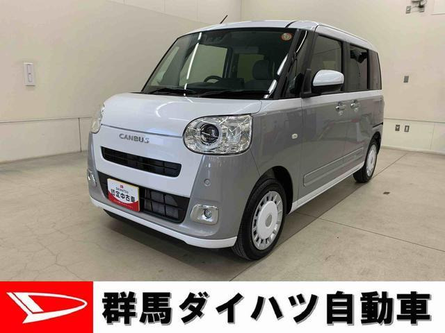 ムーヴキャンバス  ストライプス G