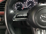 ハンドルにスイッチがたくさんついています。左はオーディオのコントローラー、運転姿勢を崩すことなく設定できます。