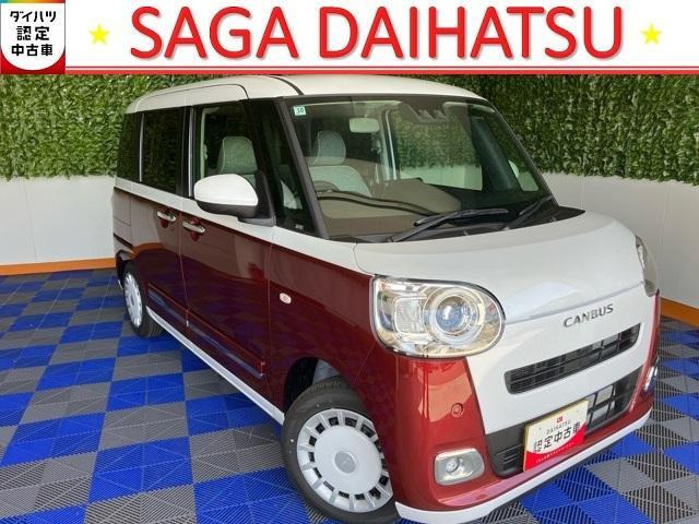 ムーヴキャンバス  ストライプス G