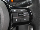 ◆アダプティブクルーズコントロール◆予め設定した車速内でクルマが自動的に加減速。前走車との適切な車間距離を維持しながら追従走行します。【LKAS】車線維持支援システムでステアリング操作を支援。