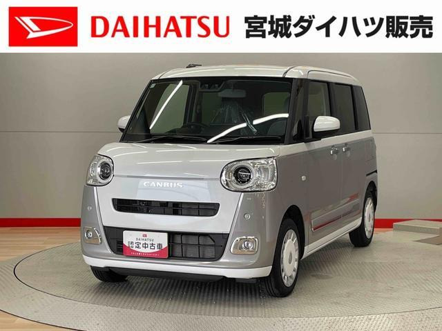 ムーヴキャンバス  ストライプス G