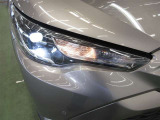 Bi-Beam LEDランプ+ターンランプ+クリアランスランプが付いています。