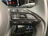 前方の車との車間を設定し、スピードを上げたり緩めたりを自動で行ってくれる追尾式の「レーダークルーズ」。上級装備の一つです!高級車にしかつかない嬉しい機能です。