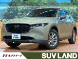 10型ナビ フルセグ 全周囲カメラ レーダークルーズ シートヒーター