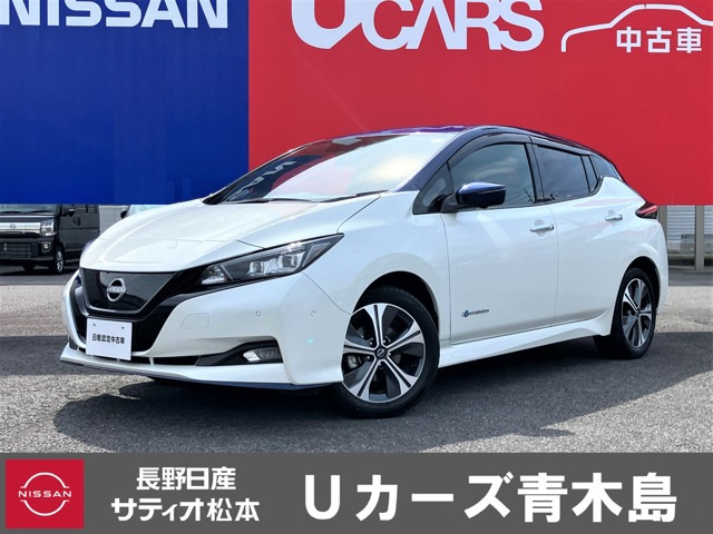 リーフ e+ G