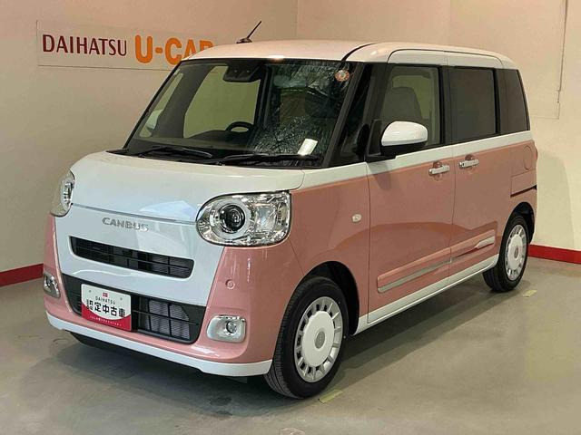 ムーヴキャンバス  ストライプス G