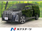 メーカー純正ナビ 両側電動ドア 後席モニター 全周囲カメラ JBL