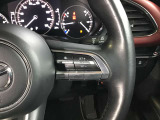ハンドルにスイッチがたくさんついています。右はクルーズコントロールのスイッチで走行中も運転姿勢を崩すことなく設定できます。