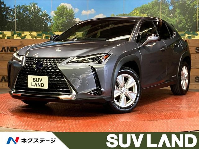 UX 250h バージョンC