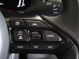 トヨタが誇る衝突被害軽減ブレーキを搭載したサポカーです。レーダークルーズコントロールを装備してます。