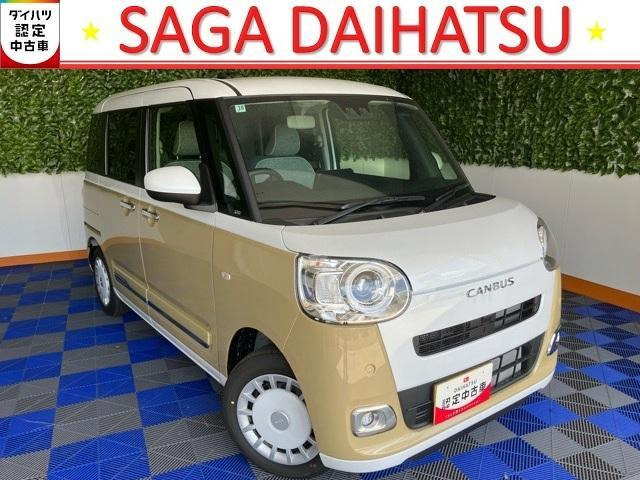ムーヴキャンバス  ストライプス G
