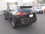 RAV4 2.0 X 