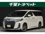 【メイン】 千葉・茨城・埼玉・東京・神奈川での登録、及びご来店いただける方への販売に限らせていただきます。