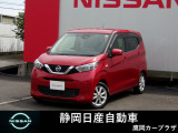 ドアバイザー付です。