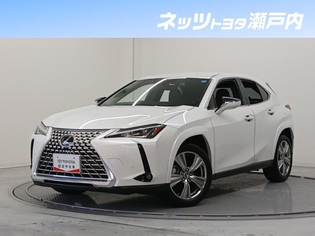 UX 250h グレイスフル エクスプローラー 