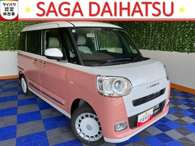ムーヴキャンバス  ストライプス G