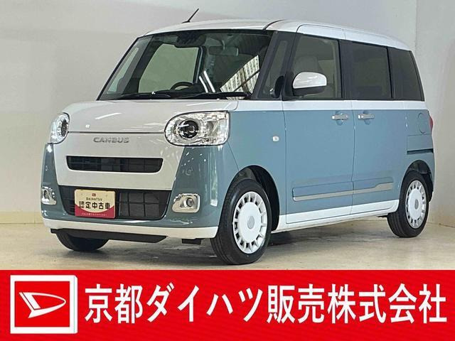 ムーヴキャンバス  ストライプス G