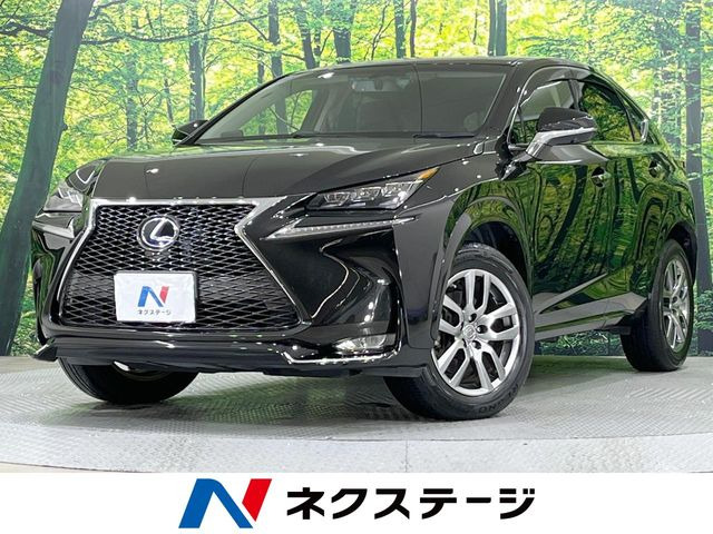 NX 300h Iパッケージ