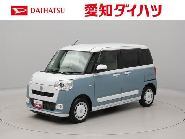 ムーヴキャンバス  ストライプス G