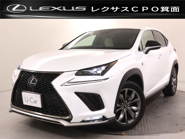 NX 300 Fスポーツ 