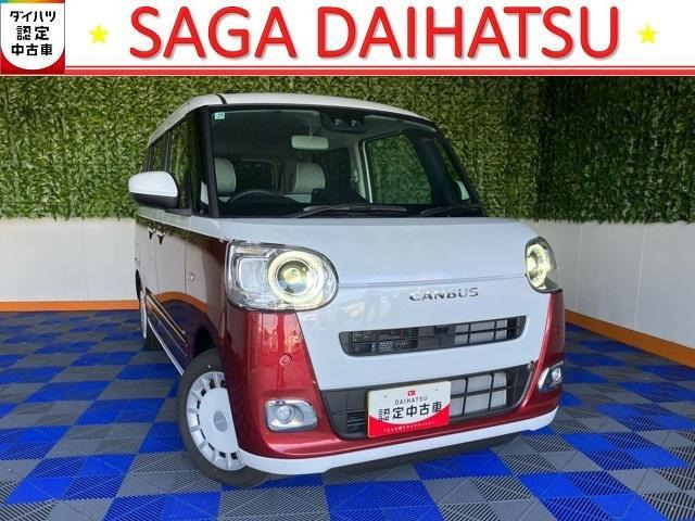 ムーヴキャンバス  ストライプス G