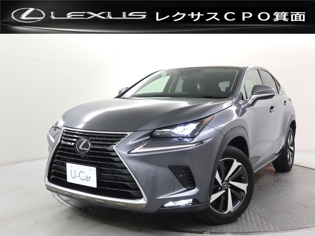 NX 300 Iパッケージ 