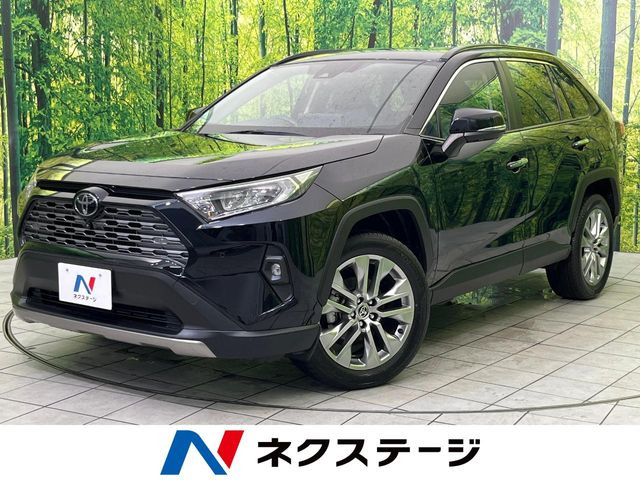 RAV4 2.0 G Zパッケージ 4WD 