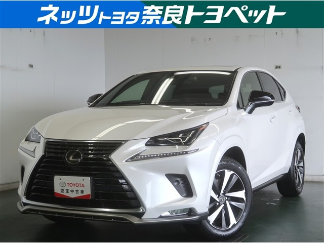 NX 300 スパイス&シック