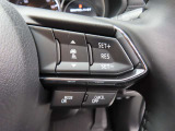 前車追従機能付きのレーダークルーズを備えています。自動で車間距離を調整してくれますので、アクセル操作の疲労軽減に繋がります。特に長距離を帰省される方にはお奨めですよ。