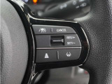 ◆アダプティブクルーズコントロール◆予め設定した車速内でクルマが自動的に加減速。前走車との適切な車間距離を維持しながら追従走行します。【LKAS】車線維持支援システムでステアリング操作を支援。