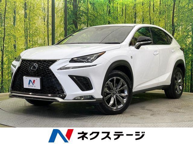 NX 300 Fスポーツ 