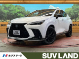 サンルーフ 純正14型ディスプレイオーディオ 全周囲カメラ 100V電源
