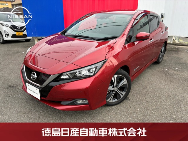 リーフ G 