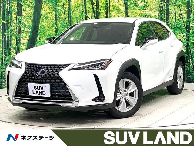UX 250h バージョンC 